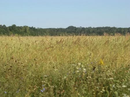 60 Ac. Farm/woods/wildlife property photo 1