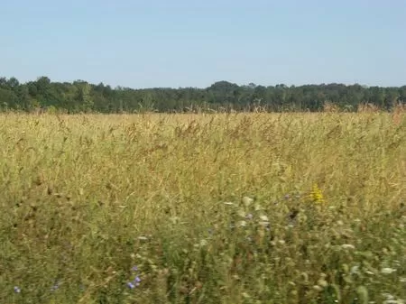 60 Ac. Farm/woods/wildlife