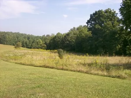 17 Acre Hunting Tract with Trails
