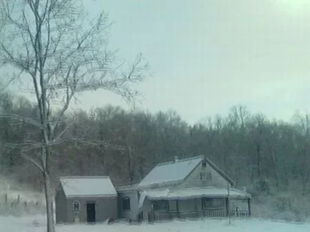30 Acres Of Woods with Cabin property photo 1
