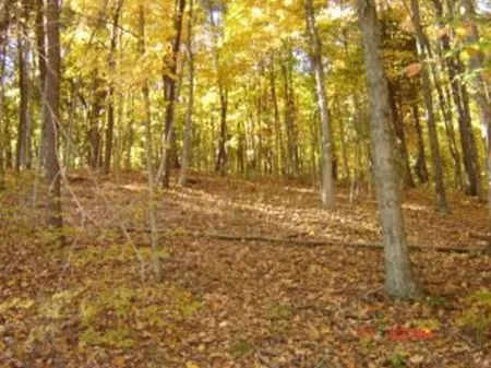 33 Acres Of Wooded Hunting Land property photo 1