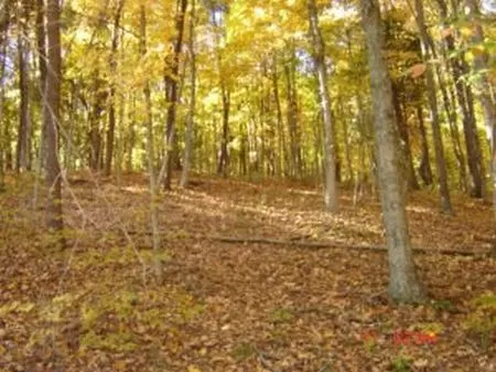 33 Acres Of Wooded Hunting Land