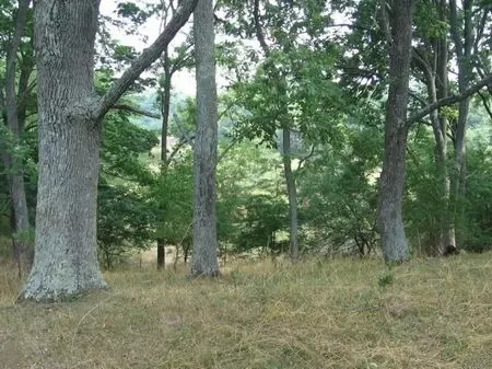 Beautiful 16 Acre Homesite