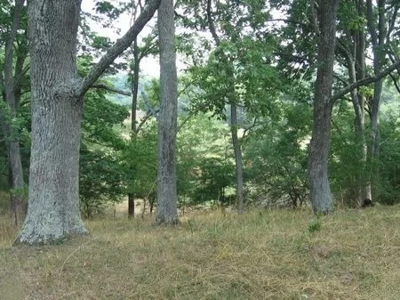 Homesites Between 2 and 16 Acres property photo 1