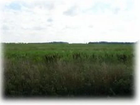 3 Acre Homesite - Reduced Price property photo 1