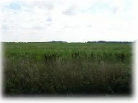 3 Acre Homesite - Reduced Price