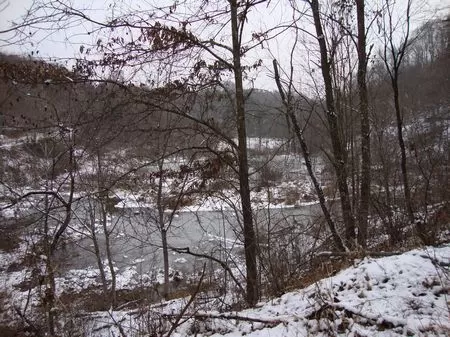 190 Acre Wooded Hunting Lot