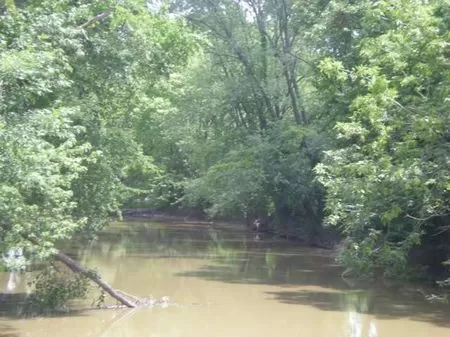30 Acres On Blackfork River