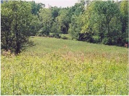 7 Acres with Pond, Open Pasture property photo 1