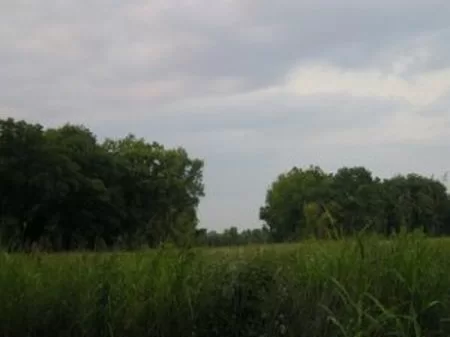 5 Acre Homesite with Woods property photo 1