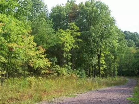 Wooded 5 Ac. Lot Near Hocking Hills