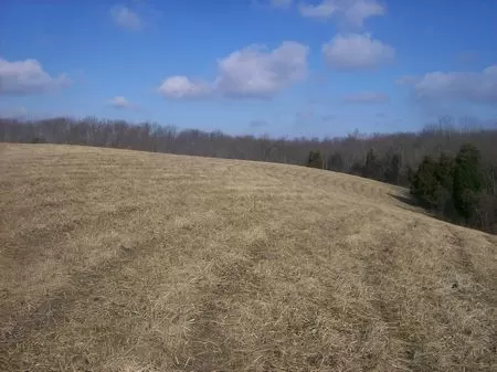 Hunting Land From 23 - 45 Acres