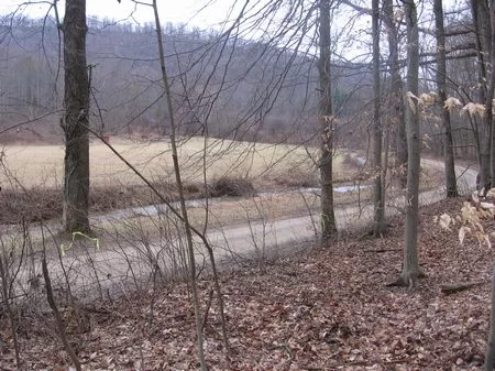 Wooded Campsite On 63,000 Ac Forest property photo 1