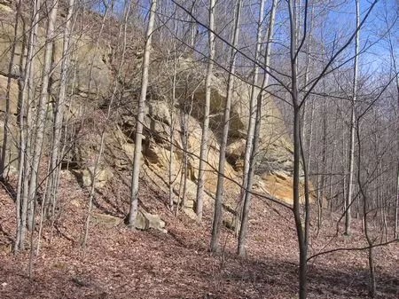 24 Acres Of Pure Nature