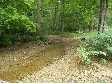 Hunting Land 19 To 65 Acres