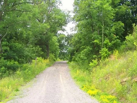 37 Ac. and 27 Ac. Lot W/ Pole Barn property photo 1