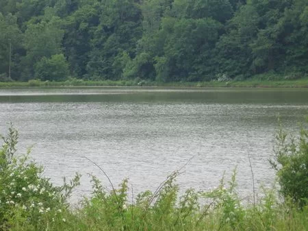 17 Acre Lake with Woods and Barn property photo 1