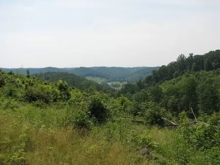 36 and 71 Acre Hunting Lots