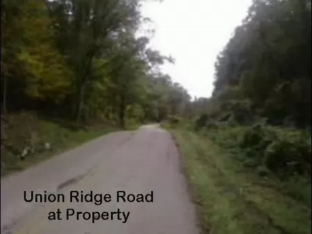 24 Wooded Acres Perfect for Hunting
