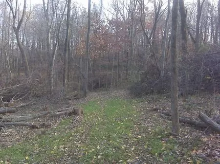 13.9 Wooded Acres with Cabin