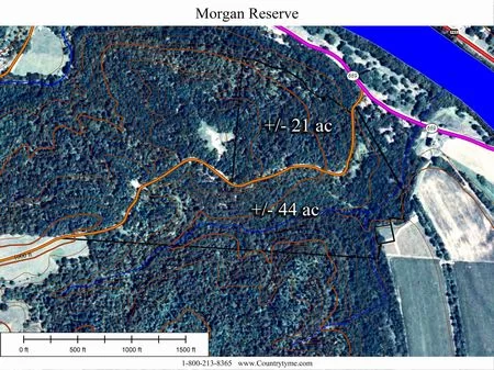 21 Wooded Acres - Hunting Land property photo 1