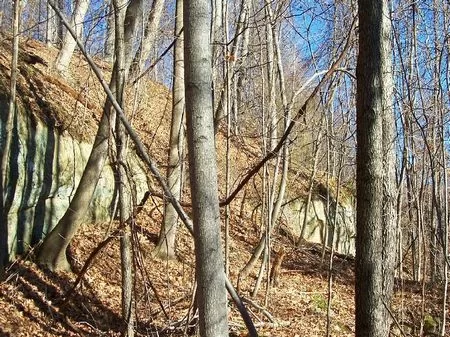 44 Wooded Acres - Hunting Land property photo 1