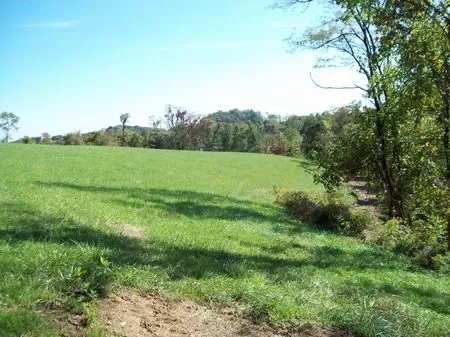 30 Ac. Of Wooded/open Hunting Land