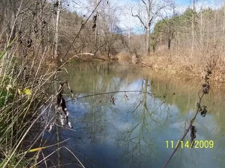 103 Acres with House