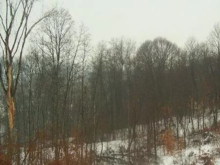 45 Acres property photo 1