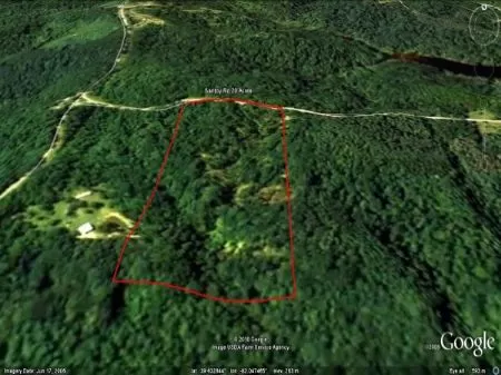 Own Woods On Wayne National Forest