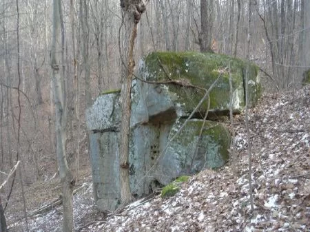Premier Hunting, Beautiful Woods property photo 1