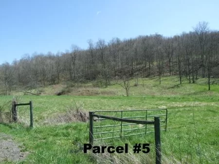 Reduced 23 Acre Near Seneca Lake property photo 1
