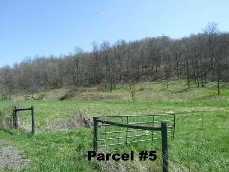 Reduced 23 Acre Near Seneca Lake