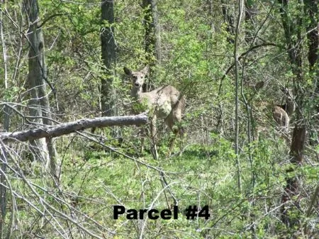 23 A Near Seneca Lake property photo 1