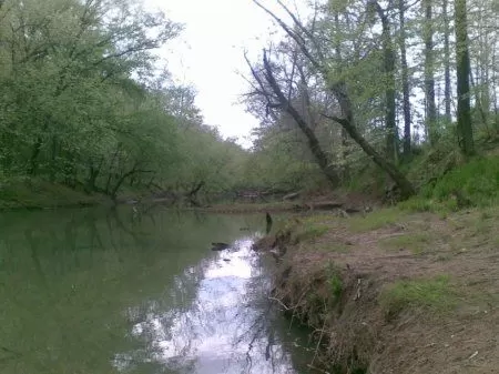 32 Acres On Raccoon Creek