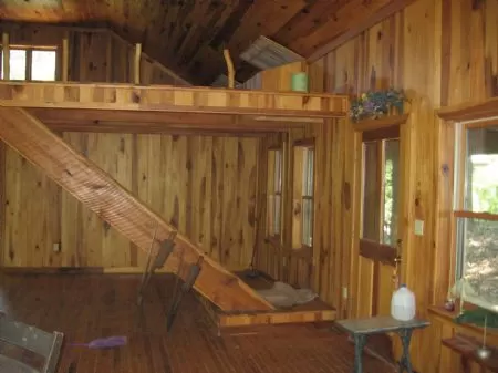 Nice Cabin 42 Wooded Acres