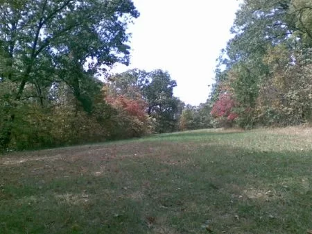 97 Acres W/farmhouse and Barn property photo 1
