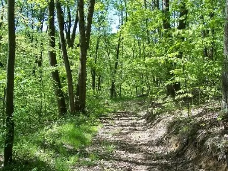 Very Close To Woodbury Wildlife