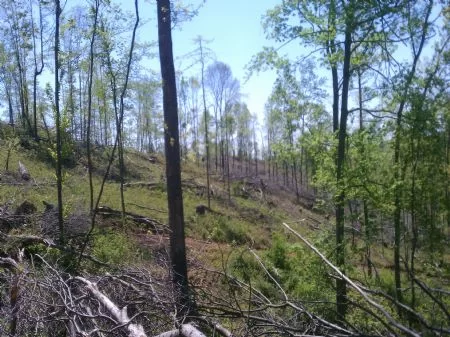 60 Acres Of Investment Property property photo 1