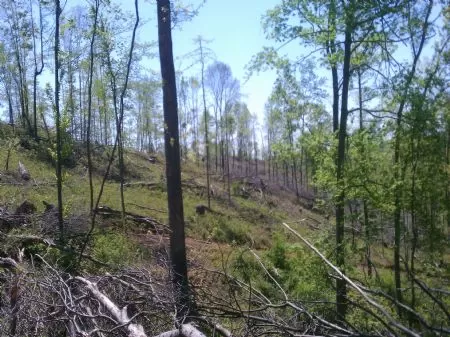 60 Acres Of Investment Property