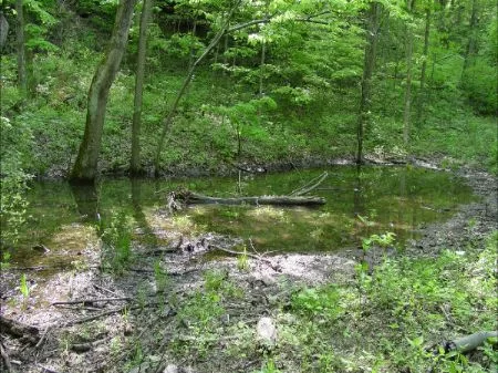 Near The Muskingum River property photo 1