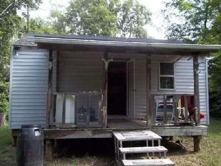 14 Ac Cabin Getaway On Wayne Nat. property photo 1