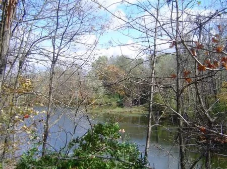 51 Acres with House property photo 1