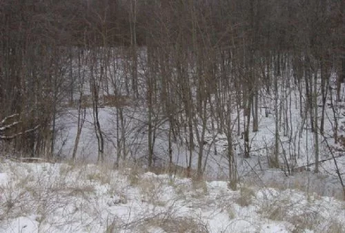 51 Acres Oil and Gas Transfer property photo 1
