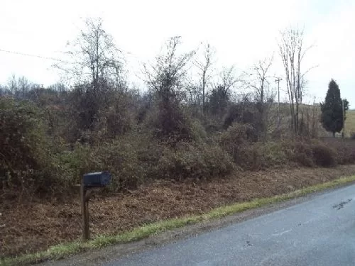 7.25 Acres Near Pubic Hunting property photo 1