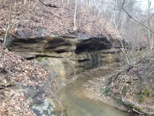 25 Ac Touches State Hunting Land