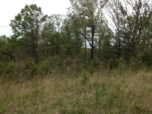 93 Ac Mineral Rights Transfer property photo 1