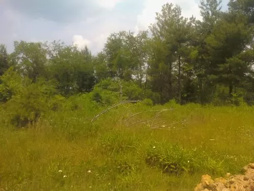 Old Man's Woods, Excellent Hunting