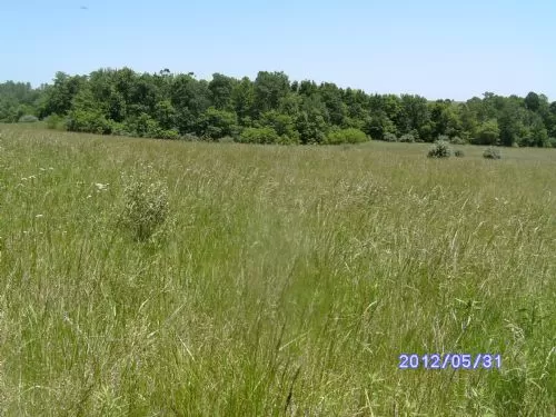 Future Ranch Or Excellent Hunting
