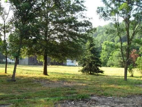 Price Drop 76a Home Site/hunting property photo 1